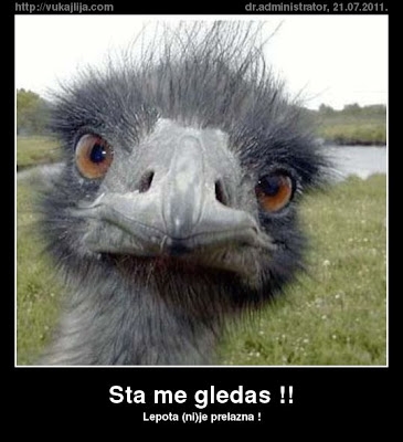 viber profilne slike