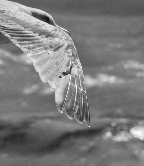 nova poznanstva citati